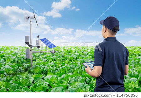 Farmer or engineer work with weather station Farmer or engineer work with weather station 114756856