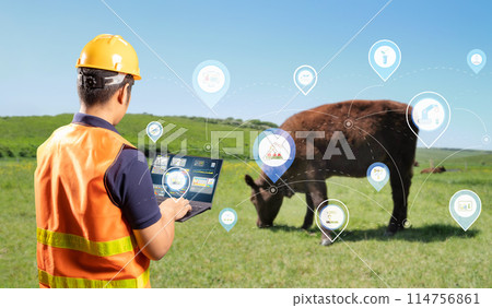 Agriculture technology concept with agricultural engineer work with computer notebook in farm Agriculture technology concept with agricultural engineer work with computer notebook in farm 114756861