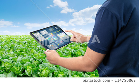 Agricultural engineer or farmer work with tablet in farm Agricultural engineer or farmer work with tablet in farm 114756862