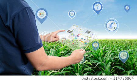 Agricultural engineer or farmer work with tablet in farm 114756864
