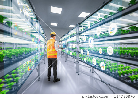 indoor farm system raised plants on shelves growth with led light 114756870