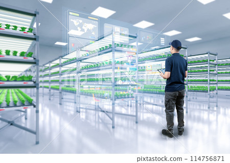 indoor farm system raised plants on shelves growth with led light indoor farm system raised plants on shelves growth with led light 114756871