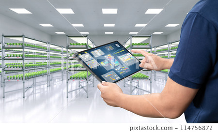 indoor farm system raised plants on shelves growth with led light indoor farm system raised plants on shelves growth with led light 114756872