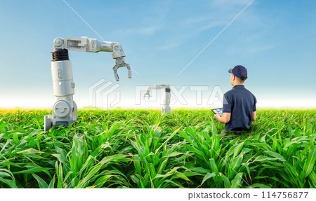 Agricultural engineer work with robotic arms in farm Agricultural engineer work with robotic arms in farm 114756877
