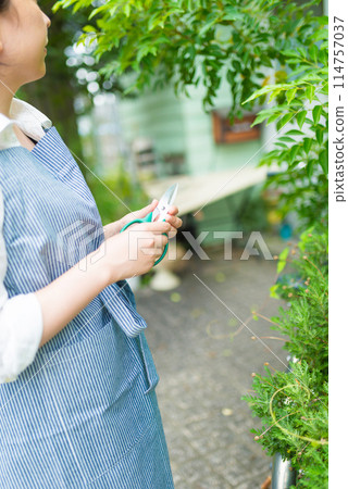 穿著圍裙的女人 穿著圍裙的女人 114757037