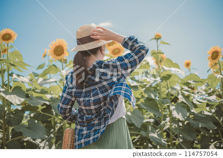 一個戴著帽子和向日葵田的女人 114757054