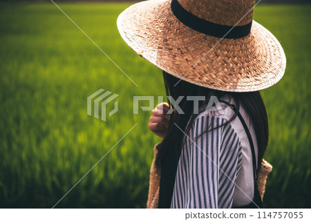 Rural landscape 114757055