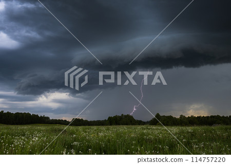 Witness a dramatic thunderstorm above a wildflower field with dramatic lightning strikes 114757220
