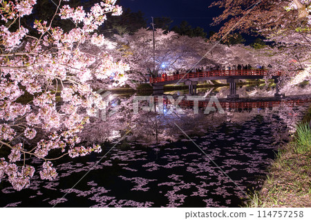 Hirosaki Castle Spring Night Scenic Spot Aomori Prefecture Hirosaki Castle Spring Night Scenic Spot Aomori Prefecture 114757258