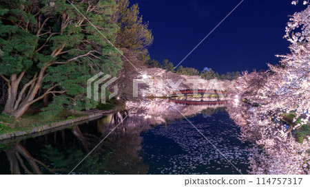 Spectacular night view of cherry blossoms in full bloom: Flower rafts and water mirrors on the western moat of Hirosaki Castle, Aomori Prefecture 114757317
