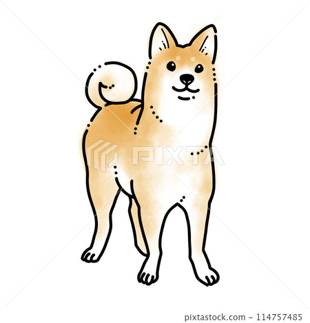 Simple watercolor illustration 114757485