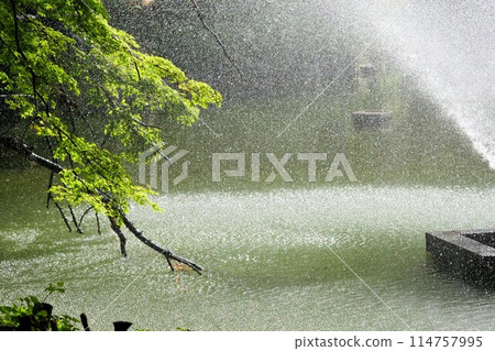 Splashing from the fountain at Inokashira Pond Splashing from the fountain at Inokashira Pond 114757995