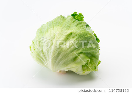 生菜 生菜 114758133