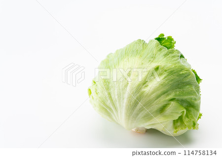生菜 114758134