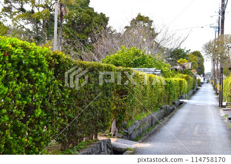 Hagi Castle Town 114758170