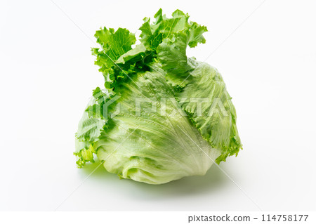 lettuce lettuce 114758177