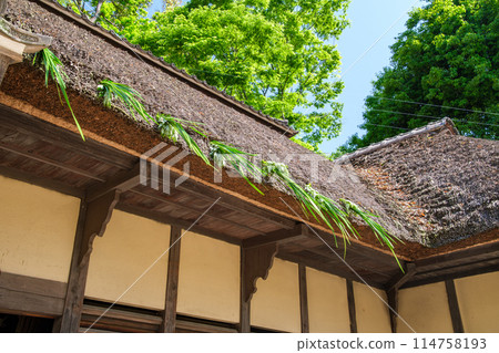 茅草屋頂上的屋簷鳶尾花 茅草屋頂上的屋簷鳶尾花 114758193