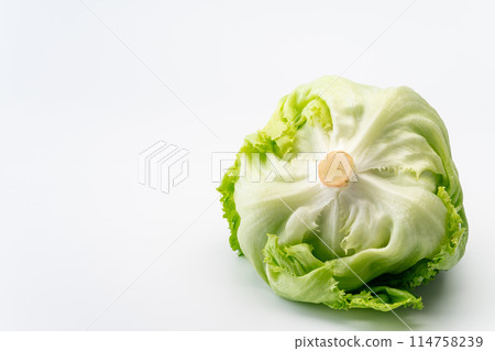 Lettuce seen from the core side Lettuce seen from the core side 114758239