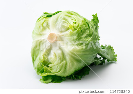 Lettuce seen from the core side Lettuce seen from the core side 114758240