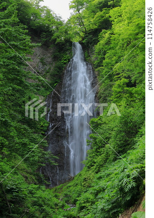 Black Bear Falls Black Bear Falls 114758426