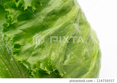Close-up of lettuce Close-up of lettuce 114758557