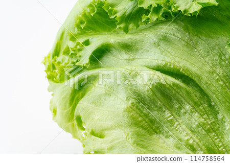 Close-up of lettuce Close-up of lettuce 114758564