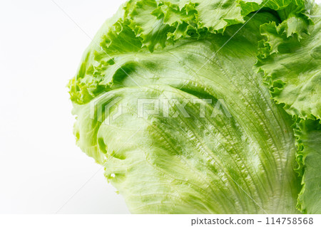 Close-up of lettuce Close-up of lettuce 114758568