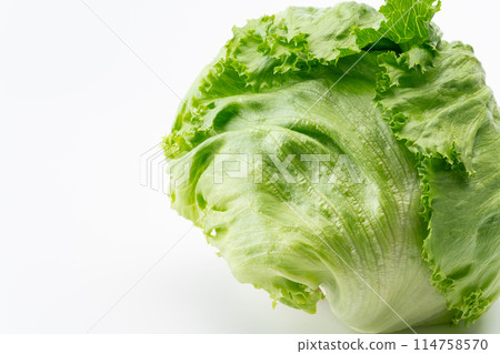 Close-up of lettuce Close-up of lettuce 114758570