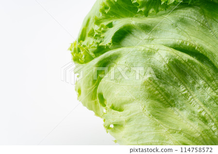 Close-up of lettuce 114758572