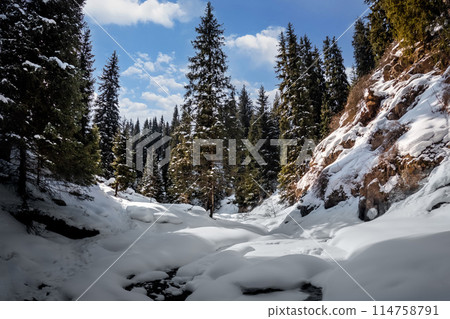 Scenic winter scenery featuring snow-dusted pine trees illuminated by the bright morning sun in a frosty mountain valley. Scenic winter scenery featuring snow-dusted pine trees illuminated by the bright morning sun in a frosty mountain valley. 114758791