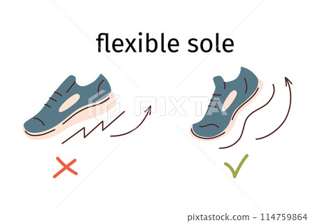 Barefoot shoes advantages, flexible sole vector illustration, vector icons for footwear business, arrangement with regular and minimalist shoes, advantages of thin sole, brochure with comparison Barefoot shoes advantages, flexible sole vector illustration, vector icons for footwear business, arrangement with regular and minimalist shoes, advantages of thin sole, brochure with comparison 114759864