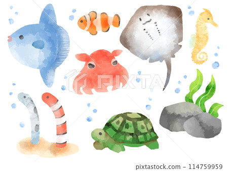 Illustrations of various fish, hand-drawn, watercolor style Illustrations of various fish, hand-drawn, watercolor style 114759959