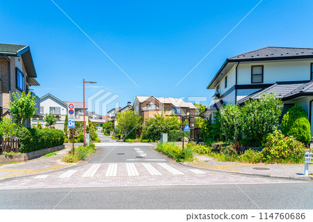 A quiet residential area in Tama New Town, surrounded by nature 114760686