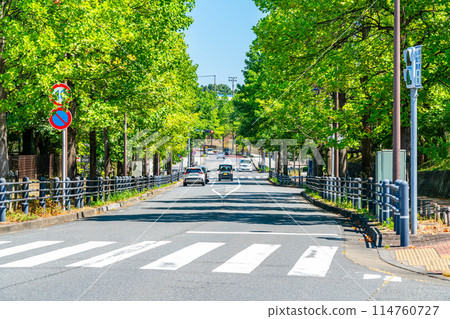 A quiet residential area in Tama New Town, surrounded by nature A quiet residential area in Tama New Town, surrounded by nature 114760727