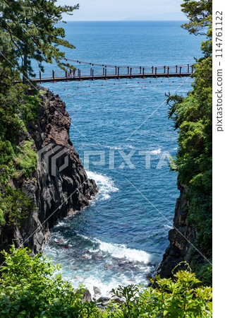 春天的城崎海岸（靜岡縣） 114761122