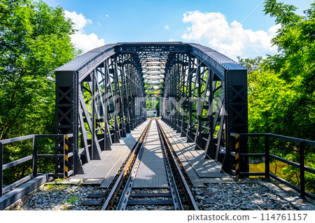 A historic railway bridge in Rataje is captured on a bright, sunny day. The bridge is surrounded by lush green foliage and extends into the distance. A historic railway bridge in Rataje is captured on a bright, sunny day. The bridge is surrounded by lush green foliage and extends into the distance. 114761157