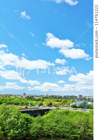 清新的藍天和城市的風景 114761222