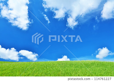 Refreshing summer blue sky and fresh green meadow landscape Refreshing summer blue sky and fresh green meadow landscape 114761227