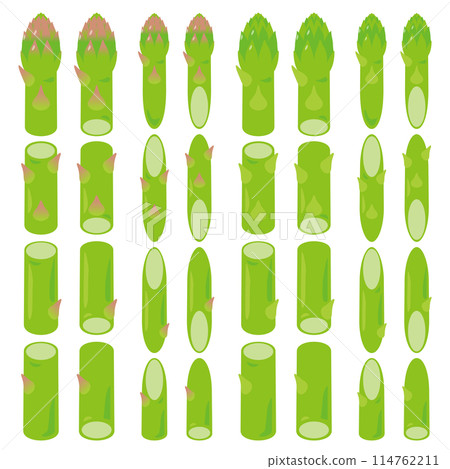 Cut Asparagus Set 114762211