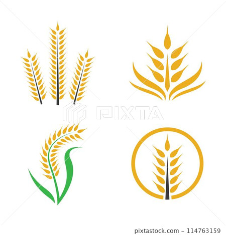 Wheat logo images 114763159