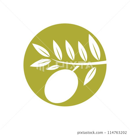 Olive logo images illustration 114763202