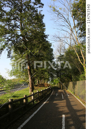 自行車道,陽光明媚的春日 自行車道,陽光明媚的春日 114763540