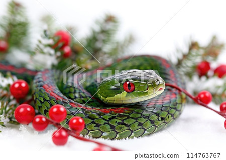 A beautifully detailed snake, donning a festive pattern 114763767