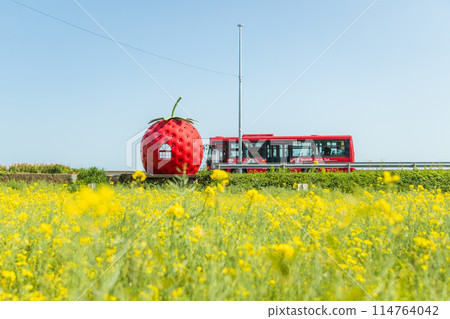 水果巴士站草莓巴士站[長崎縣諫早市小長井町] 114764042