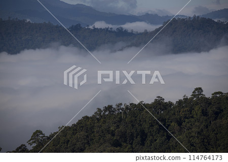Early morning landscape. Colorful sunrise on a foggy day over mountains and a forest. 114764173