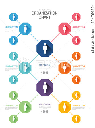 Infographic template for organization chart with business avatar icons. vector infographic for business. 114764204