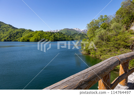 Lake Okutone in early summer as seen from Yagisawa Dam, Minakami Town, Gunma Prefecture 114764497