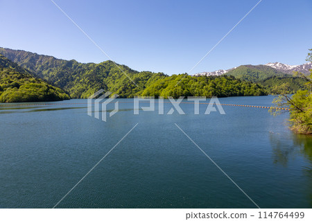Lake Okutone in early summer as seen from Yagisawa Dam, Minakami Town, Gunma Prefecture 114764499