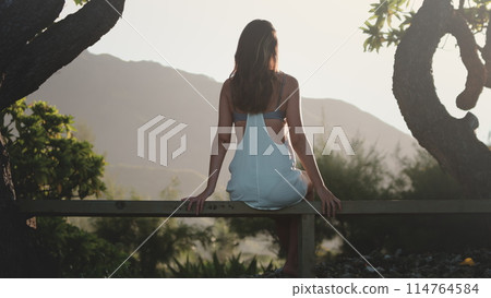 A woman wearing a blue dress sits on a wooden bench in a park. She gazes off into the distance, her hands resting on her thighs. The bench is surrounded by greenery, adding a touch of nature to scene A woman wearing a blue dress sits on a wooden bench in a park. She gazes off into the distance, her hands resting on her thighs. The bench is surrounded by greenery, adding a touch of nature to scene 114764584