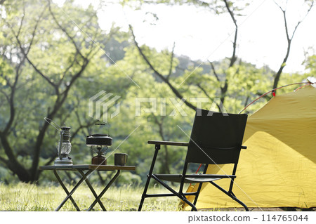 Forest Campsite 114765044